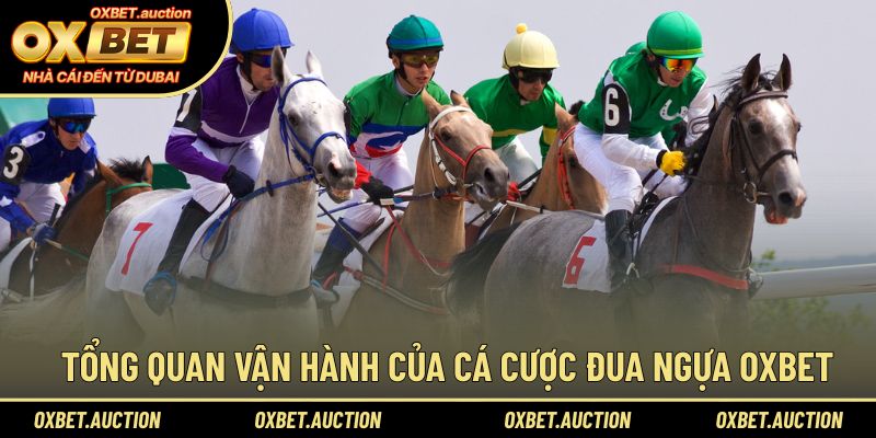 Tổng quan vận hành của cá cược đua ngựa OXBET