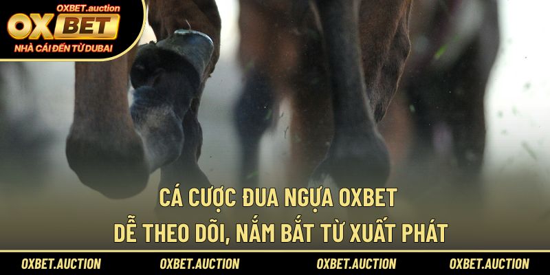 cá cược đua ngựa OXBET