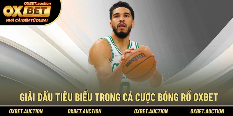 Giải đấu tiêu biểu trong cá cược bóng rổ OXBET