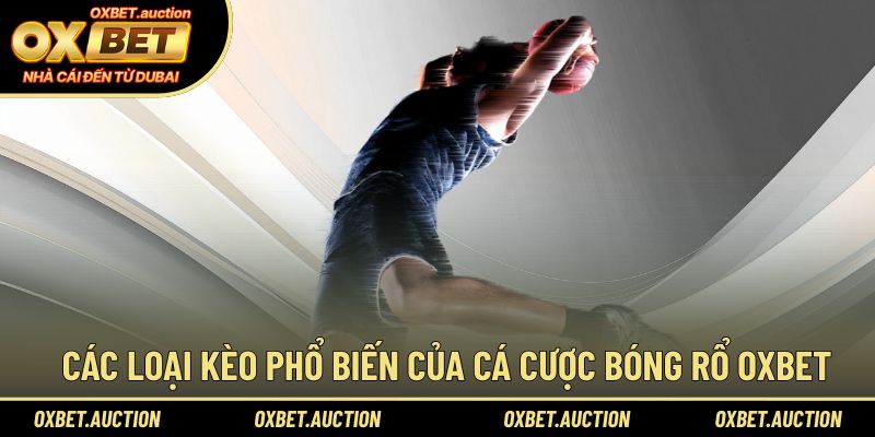 Các loại kèo phổ biến của cá cược bóng rổ OXBET